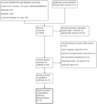 Impacto de diferentes modalidades de entrenamiento en las características antropométricas y metabólicas en sujetos con sobrepeso/obesidad: una revisión sistemática y un metanálisis de la red