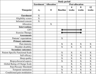 Terapia funcional cognitiva versus ejercicios terapéuticos para el tratamiento de individuos con dolor crónico de hombro: un protocolo para un ensayo controlado aleatorio