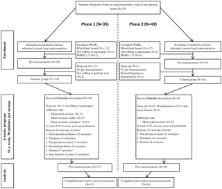 Viabilidad de un programa de entrenamiento aeróbico y de fuerza combinado y sus efectos sobre la función cognitiva y física en pacientes con demencia institucionalizados. Un estudio piloto
