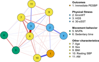 Asociaciones entre la aptitud física, los comportamientos de movimiento y la presión arterial posterior al ejercicio en los adultos mayores: una perspectiva de red