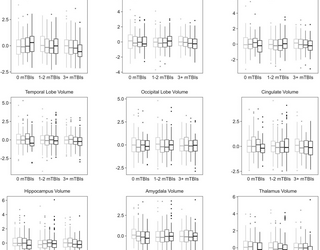 Ejercicio aeróbico y estructura cerebral entre los miembros del servicio militar y los veteranos con diferentes historias de lesiones cerebrales traumáticas leve: una investigación exploratoria del cencer límbico
