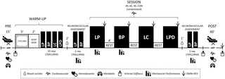 Respuestas cardiovasculares agudas de mujeres posmenopáusicas a sesiones de entrenamiento de resistencia que difieren en la configuración del conjunto: un protocolo de estudio para un ensayo cruzado