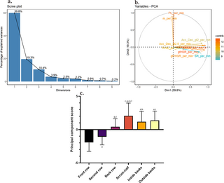 Análisis de desempeño y carga de trabajo por posición específica en el rugby profesional: información a partir de datos del sistema de posicionamiento global y análisis de componentes principales