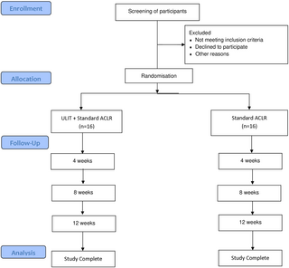 Efecto del entrenamiento isométrico de extremidades superiores (ULIT) en la fuerza de los isquiotibiales en pacientes postoperatorios tempranos de reconstrucción del ligamento cruzado anterior: Protocolo de estudio para un ensayo controlado aleatorio