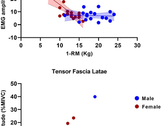 El sexo como moderador de la relación entre la fuerza de abducción de la cadera y la activación muscular durante la posición de una pierna