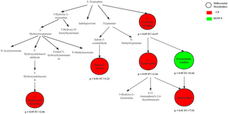 Características metabolómicas de los modos de ejercicio aeróbico y de resistencia.