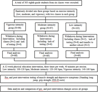 Efectos de distintas intensidades de ejercicio sobre la fuerza muscular y los síntomas depresivos en adolescentes chinos: un ensayo controlado aleatorio de 12 semanas