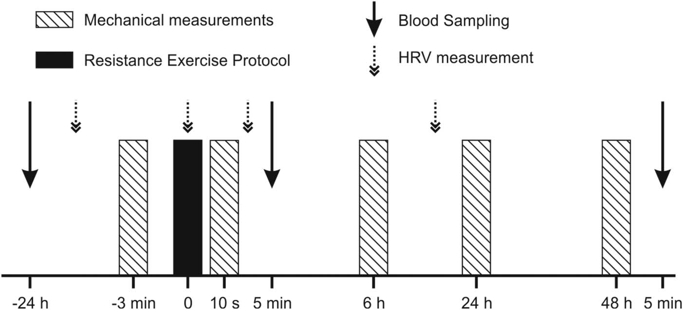Gráfico de deterioro del rendimiento y recuperación hasta 48 horas