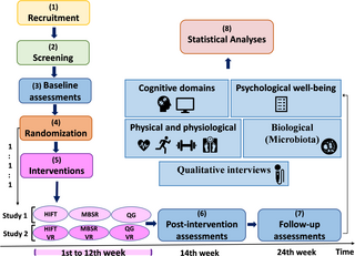 El proyecto YoungFitT: protocolo de estudio para un ensayo aleatorizado de métodos mixtos sobre ejercicio físico e intervenciones mente-cuerpo, con o sin realidad virtual, en estudiantes universitarios