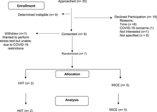 Viabilidad y aceptabilidad de una intervención de ejercicio domiciliario mHealth en supervivientes de cáncer colorrectal: Un ensayo controlado aleatorio piloto