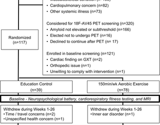 Efecto del ejercicio aeróbico en la acumulación de amiloides en el Alzheimer preclínico: Un ensayo controlado aleatorizado de 1 año