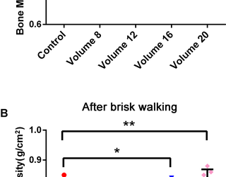 El volumen de caminata rápida es el factor clave para la mejora de la DMO en mujeres en premenopausia