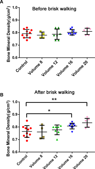 El volumen de caminata rápida es el factor clave para la mejora de la DMO en mujeres en premenopausia
