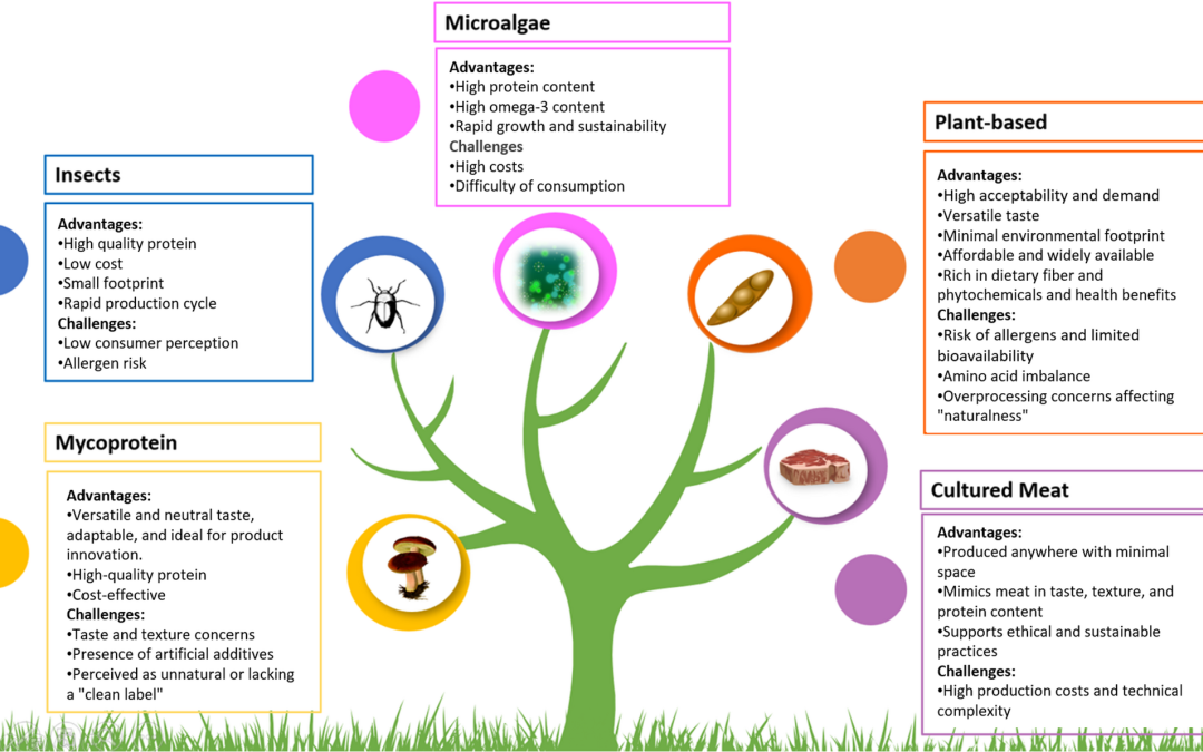 Fuentes Futuras de Proteínas en la Nutrición Deportiva: Soluciones Sostenibles