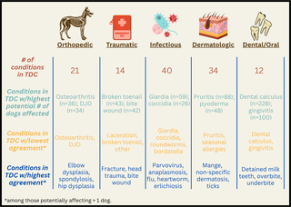 Precisión de los diagnósticos reportados por los dueños para perros inscritos en el Proyecto de Envejecimiento Canino en comparación con los registros médicos electrónicos veterinarios