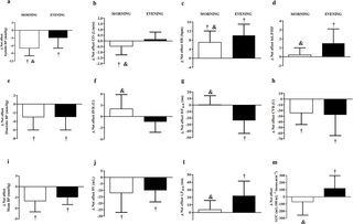 Hipotensión Post-Ejercicio y Sus Mecanismos Diferentes Después del Ejercicio en la Mañana y la Noche: Un Estudio Cruzado Aleatorizado