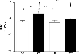 Influencia del entrenamiento aeróbico en la reducción de la vasoconstricción a la angiotensina II en ratas expuestas a la restricción del crecimiento intrauterino: posible papel del estrés oxidativo y el receptor AT2 de la angiotensina II