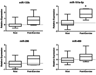 Liberación de músculo de vesículas extracelulares positivas para alfa-sarcoglicano que transportan miARN en el torrente sanguíneo