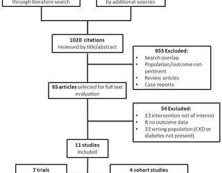 Restricción dietética y ejercicio para pacientes diabéticos con enfermedad renal crónica: una revisión sistemática