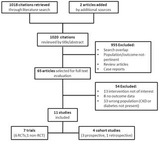 Restricción dietética y ejercicio para pacientes diabéticos con enfermedad renal crónica: una revisión sistemática