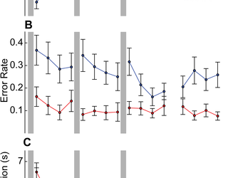 Un único episodio de ejercicio aeróbico moderado mejora la adquisición de habilidades motoras