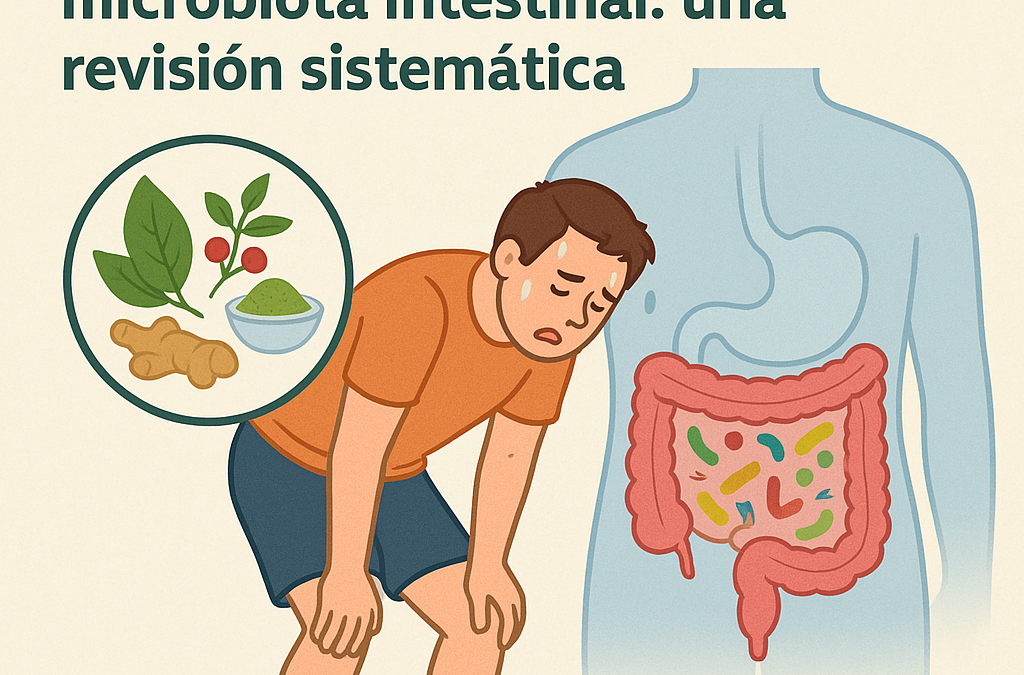 Los productos naturales alivian la fatiga inducida por el ejercicio mediante la modulación de la microbiota intestinal: una revisión sistemática